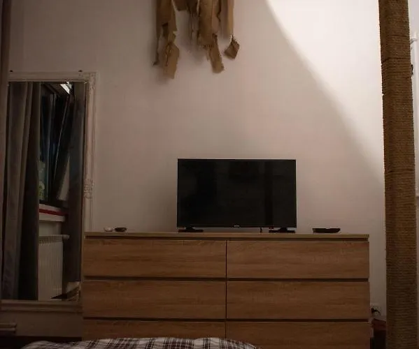 Bauhaus 布加勒斯特